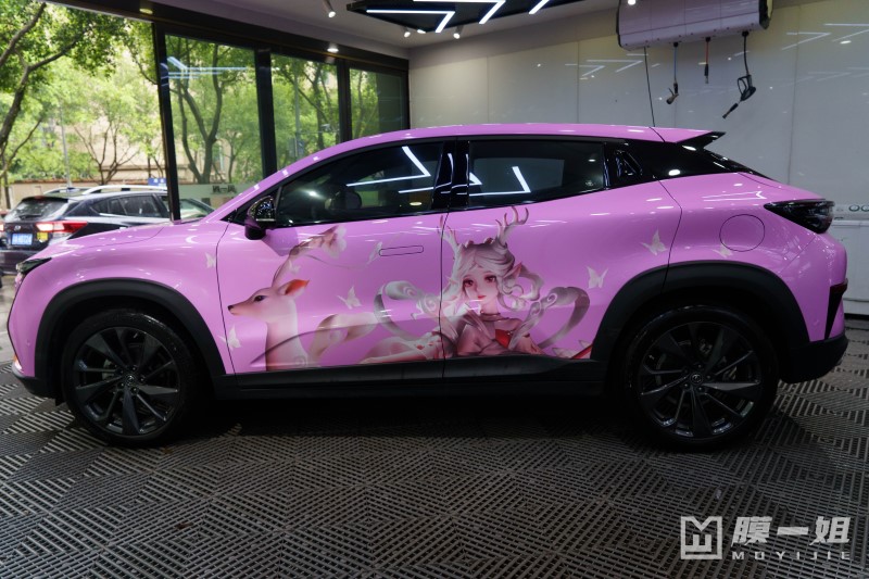 长安定制瑶主题改色膜