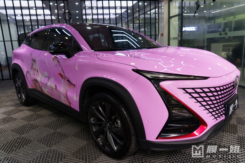 长安定制瑶主题改色膜