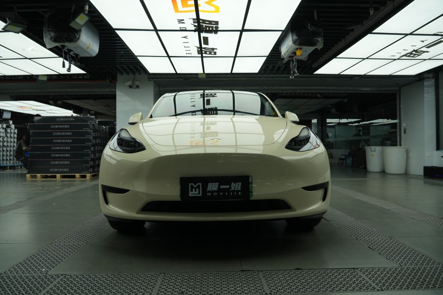 特斯拉改色水晶胡椒白