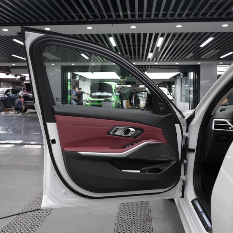 Long Hun Zi Windshield Protection Film