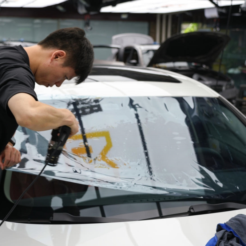 Long Hun Zi Windshield Protection Film
