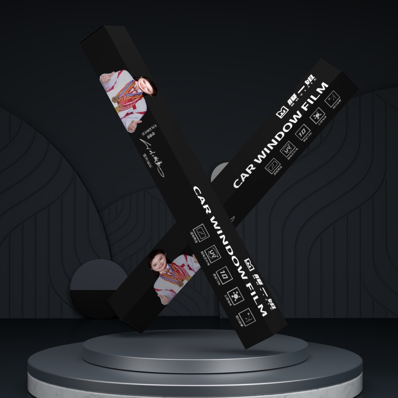 Long Hun Zi Windshield Protection Film