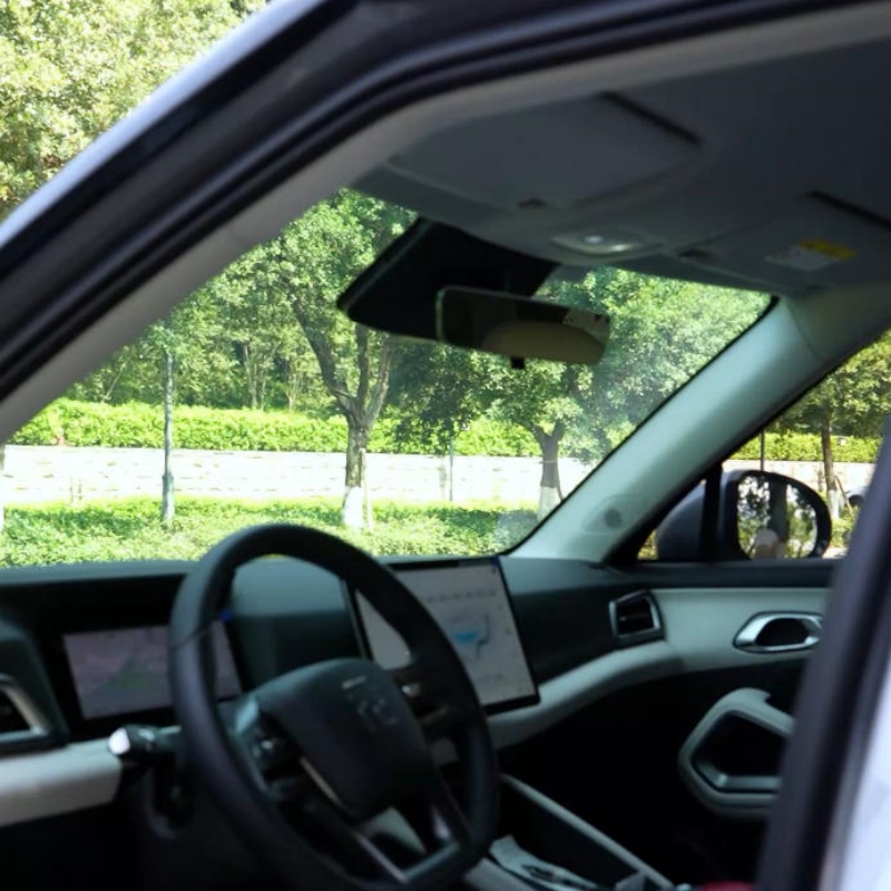 Long Hun Zi Windshield Protection Film